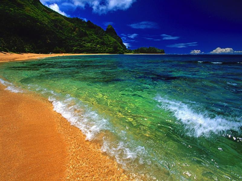 Name:  hawaii beach vacation rental.jpg
Views: 792
Size:  90.8 KB