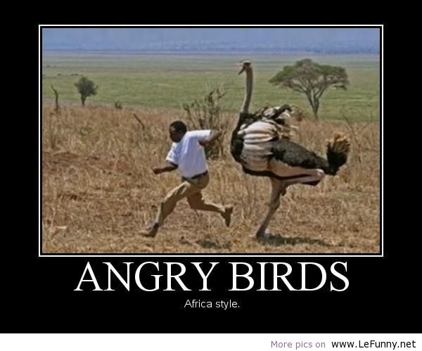 Name:  a.baa-Angry-Birds-Africa-style.jpg
Views: 812
Size:  41.5 KB