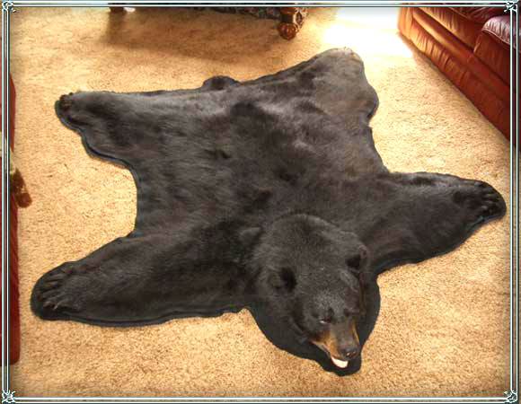 Name:  bear-fur-rug-bear-skin-rug.jpg
Views: 4161
Size:  42.4 KB