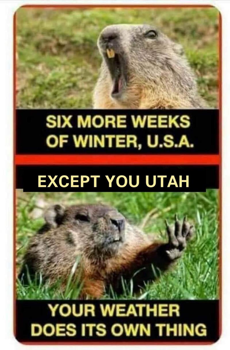 Name:  Utah weather.jpg
Views: 335
Size:  116.1 KB